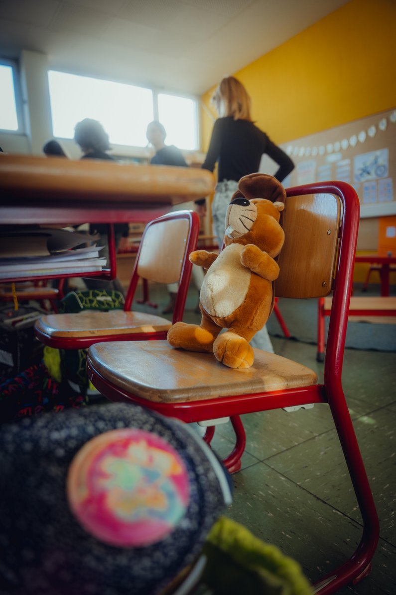 Klassentier auf einem Stuhl